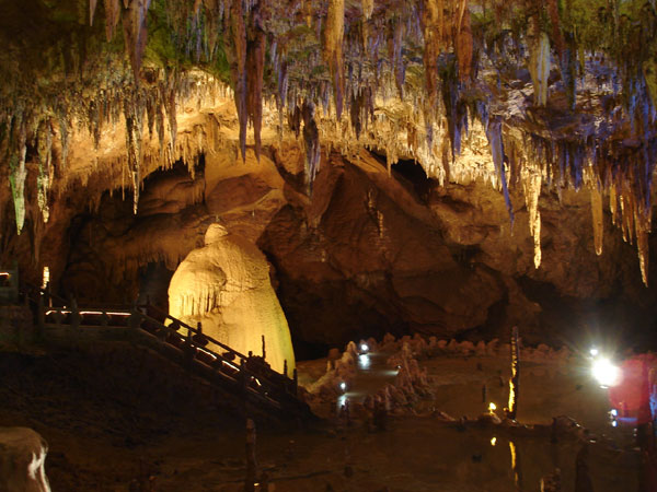 �������T(m��n)Ʊ